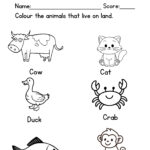 A worksheet for children with outlined drawings of common land animals—such as a lion, elephant, and bear—ready to be colored.