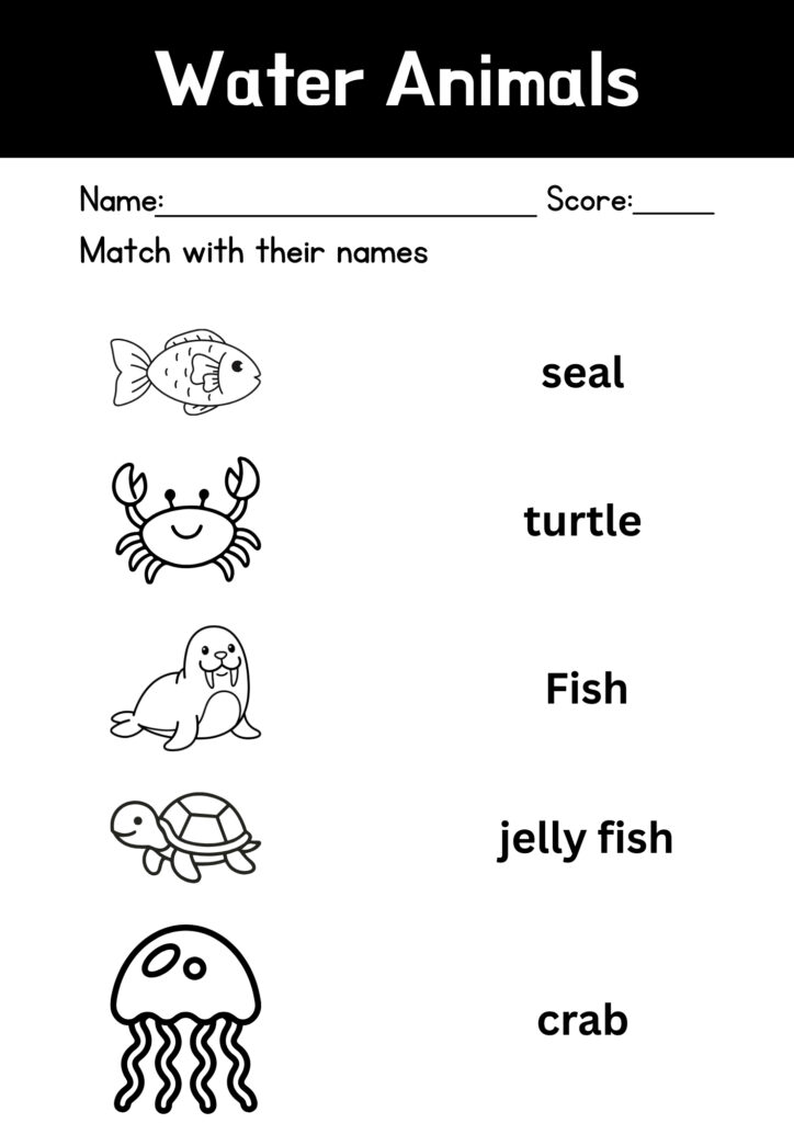 the water animal worksheet for homeschooling. It consist on